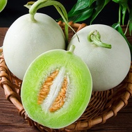 鲜其玉菇甜瓜冰淇淋香瓜新鲜水果整箱 .9斤装（净重8.5左右）