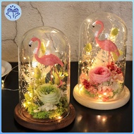 Glass + Wooden Base, Decorative Clear Glass Cloche Bell Jars Flower Vase for Wedding Decoration