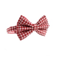 Plaid Tie - Red