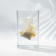 Ketapang Dip Liquid Devil Fish Channa Maru YS Auranti Limbata Pulchra Asiatica Red Barito Treat Spec