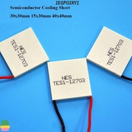 IESPOIRYI Semiconductor Cooling Sheet, 30x30mm 40x40mm Refrigeration Plate,  5 Styles 15x30mm TES1-0