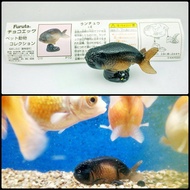 Kaiyodo Black Ranchu