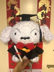 全新日版正版蠟筆小新小白畢業公仔