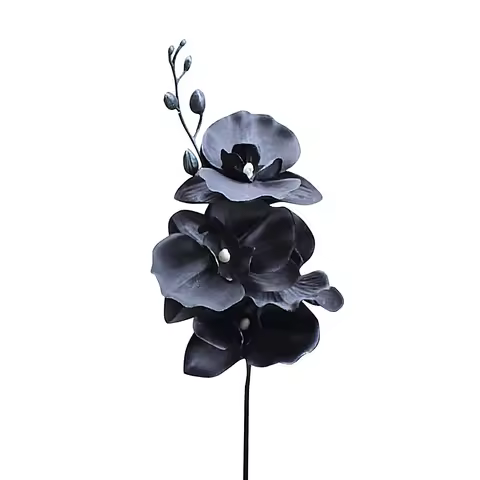 Artificial Phalaenopsis Orchid, Single Stem Black Dancing Orchid Silk Fabric, Artificial Plants, Hom