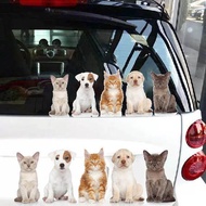 Cute Pet Cat Sticker 3D Cat Sticker Car Sticker Glass Sticker Wall Sticker Cat