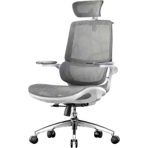 SIHOO M59AS Ergonomic Office Chair, Desk Chair with Dual Back Design & Adaptive Dynamic Lumbar Suppo