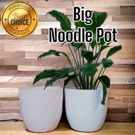 Elegant Big Noodle pot | Aesthetic design | White pot | Classy and Durable | Great for Big plants!