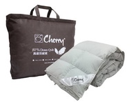 卓譽床上用品 - 80%高級羽絨被 - 雙人(80DQ008-70Q)