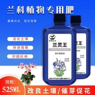 Lanling King Orchid Special Clivia Special Nutrient Solution Family Gardening Orchid Orchid Plant Universal Green Plant