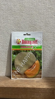 Benih Melon Merlin 0.5gr