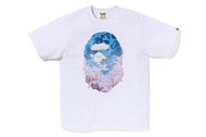 🇯🇵日本代購 A BATHING APE MENS SAKURA PHOTO APE HEAD TEE / A BATHING APE tee BAPE