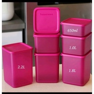 TUPPERWARE SO FRESH SQUARE