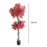 Pokok Bunga Kertas Bonsai Kuning Merah Jambu Hiasan 180CM / Premium Artificial Bougainvillea Yellow 