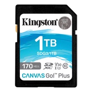 Kingston Canvas Go Plus SD Memory Card