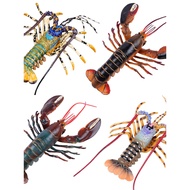 Simulation Marine Life Animal Model Solid Australia Boston Lobster Seafood Lobster Children's Toy Or