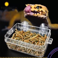 FSunshine【Fast Delivery】Transparent Anti Escape Box Feeder for Reptile Snake Lizard