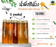 5 สายพันธุ์ 5 รสชาติ น้ำผึ้งชันโรงแท้ 100% ขนาดทดลอง Kaset Ban Gie