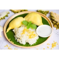 SIMULTANEOUS DURIAN CHIPS AND MANGO STICKY RICE CHIPS THAILAND FREEZE DRIED