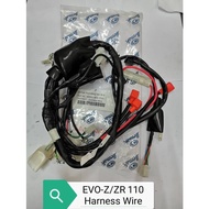 Demak EVO-Z / EVO-ZR 110 Harness Wire