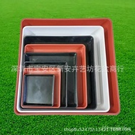 Square Plastic Flower Pot Tray Square Flower Pot Chassis Household Succulent Bonsai Water Tray Flower Holder Wholesale