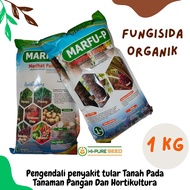 TRICHODERMA 1 Kg Fungisida Organik MARFU P Trikoderma Tricoderma Pembasmi Jamur