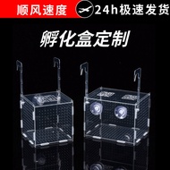 Fish Tank Pond Isolation Box Acrylic Guppy Parrot Fish Separator Box Incubator Frying Fry Small 3.24
