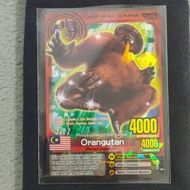 Animal Kaiser Animal Card Orangutan