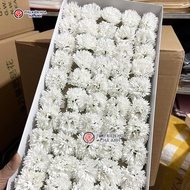 Hoa Phăng (Cẩm Chướng) Sáp [Lẻ Bông] | Phụ kiện hoa Hà Anh