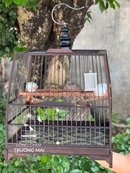 lồng chim chào mào khung lồng chim tự ráp vuông đấu thái đấu gỗ mun đuôi công nan cáp quang đen ( QC