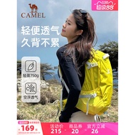 [Lightweight Backpack System] Camel Outdoor Hiking Bag Backpack Hiking Mountain Climbing Female Ligh