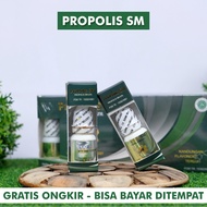 Propolis Brazil SM Original - Obat Multi Khasiat BPOM