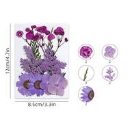 Bunga Kering/Pressed Flower Mixed Natural Dried Flowers/Natural Dried Flowers/Pressed Flower Diy Dec