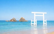 Fukuoka Itoshima & Raizansennyoji Taihioin Full-Day Chartered Tour