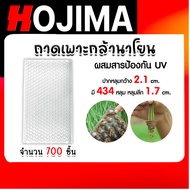 ถาดเพาะกล้านาโยน 434 หลุม แพ็ค 700 ชิ้น ถาดเพาะนาโยน เพาะกล้านาโยน กล้านาโยน ถาดนาโยน ถาดเพาะปลูก ถ