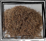 JINTAN PUTIH / JINTAN MASAK KERING 1 KG