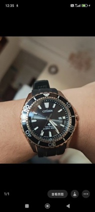 Citizen Eco-Drive 潛水錶