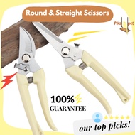 [SG Local Seller] Stainless Steel Gardening Fruit Tree Branch Cutter Scissor/ Branch Pruning Shear