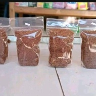 Tambeng Super asli situbondo