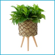 Basket Plant Stand Planter Stand Holder with 3 Legs Flower Holder Planter Stand Holder Plant Pot Stand Indoor tongsg tongsg