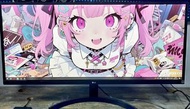 LG 27吋 27inch WL500 Monitor 電腦屏幕
