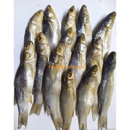 (100Gram) Ikan Kering Belanak / Ikan Belanak Masam / Ikan Belanak Kering / Ikan Masin Belanak/ Ikan 