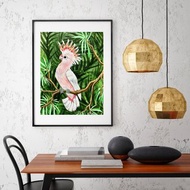 鸚鵡雀牆藝術，鳳頭鸚鵡原創繪畫，鸚鵡鳳頭鸚鵡繪畫