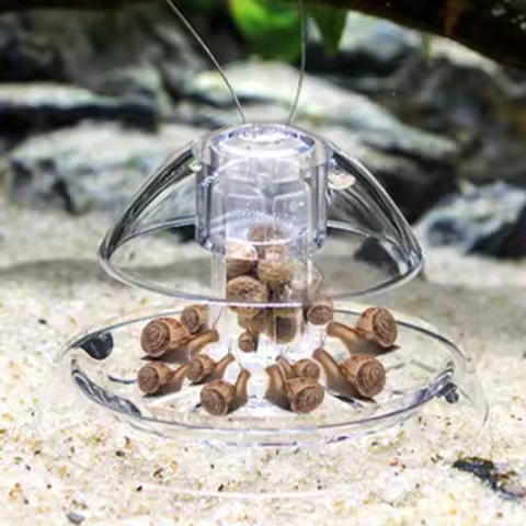 Fish Tank Accessories Aquarium Plant Snail Trap Catcher Plastic Leech Planaria Pest Catch Box Fish T