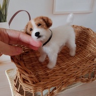 準備發貨 4.5 英寸高微型逼真傑克羅素梗犬