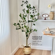 [พร้อมส่ง] Jnihouse : ต้นสึบากิประดิษฐ์ แถมตะกร้าสาน (Tsubaki Potted Plant)(Tree)