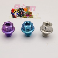 Salaya model GR5 screw