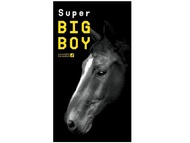 岡本 SUPER BIGBOY大黑馬保險套 12個入