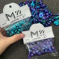 Titan Gr5 screw set for Winner (25c)