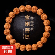 金刚菩提子手串树王爆肉高油高密佛珠男士原籽文玩单圈盘玩手链