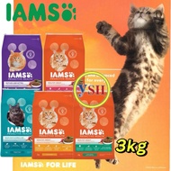 IAMS Proactive Health Cat Food 3 KG